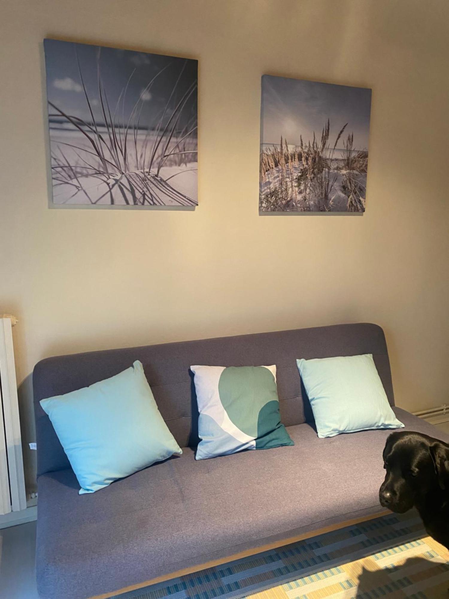 Appartement Avec Jardin Le Porge Zewnętrze zdjęcie
